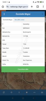 İprahim Şehir Yatirimlik Fıstik Bahcesi