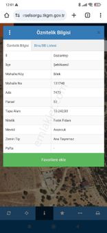 Bilek Yatırımlık Arazi