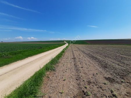 Edirne Merkez Musabeyli Köyünde Satılık Tarla