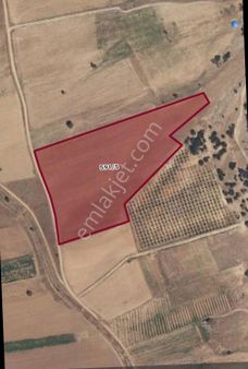 İsparta Merkez Atabey De 24 Dönüm