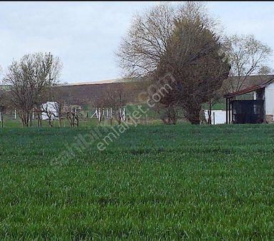 İstanbul Silivri Değirmenköy Sahibinden Satılık Arsa 240m2