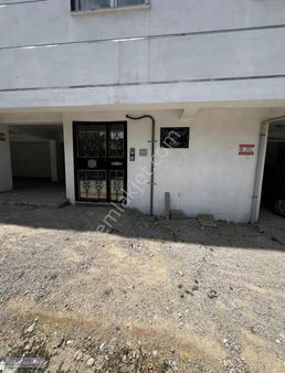 Cuma Mah Hisar Camii Civarı