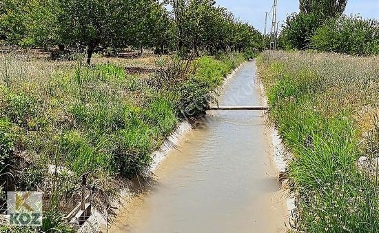 Koz Gayrimenkul'den Tecirli'de Mükemmel Konumda Bakımlı Bahçe
