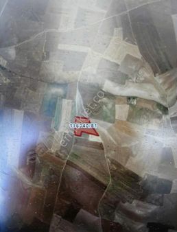 Velıhımmetlı 'de Yatırımlik Tarla