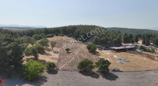 Layda'dan Buca Yıldızda 4000m2 Satılık Müstakil Tek Tapu