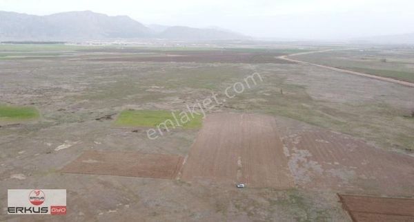 Erkuş Gyodan Acıpayam Apa Fırsat Arazi