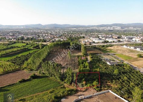 Öğretmen'den Darıc'da 1,197,45 M2 Fırsat Villa İmarlı Arsa