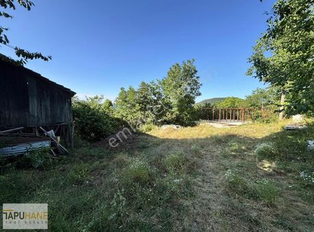 Tapuhaneden Eski Bıçkıda 10.8 Dekar Fındıklık