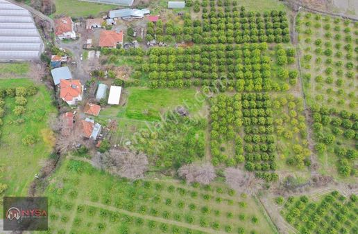 Okçular Mh Kadastrol Yolu Olan 495 M2 Satılık Hisseli Tarla