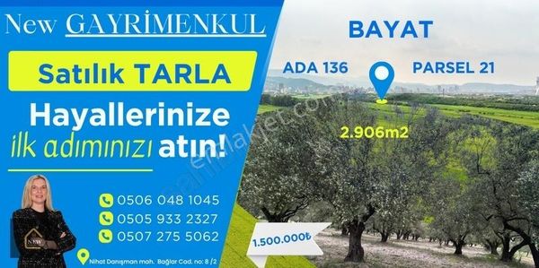 New Gayrimenkul 'den Bayat Köyü 2.906 M2 Zeytinli Tarla