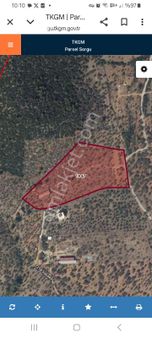 Torbalı Aslanlar Köyünde Bayındır Asfaltına 1200 Metre Mesafede19200 M2 Zeytinlik