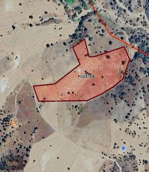 Küpeler Fırsat 21 Dönüm