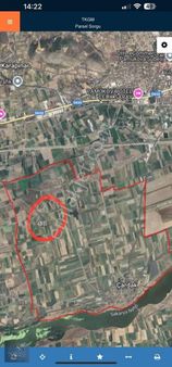 Çardak'ta Güzel Konumda Satılık Tarla