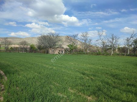 Alparslan Emlak'tan Gürpınarda Satlık Tarla