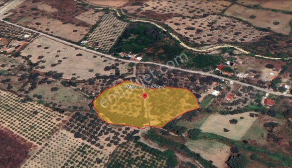 Rota Köyceğiz Gayrimenkul'den Yangı'da Satılık 4259m² Bahçe