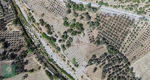 Yonca Gyo Bergama Sarıcalar Köyü Girişinde Satılık Tarla