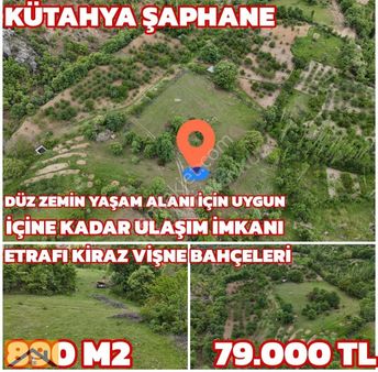 Kiraz Ve Vişnenin Anavatanı Kütahya Şaphane