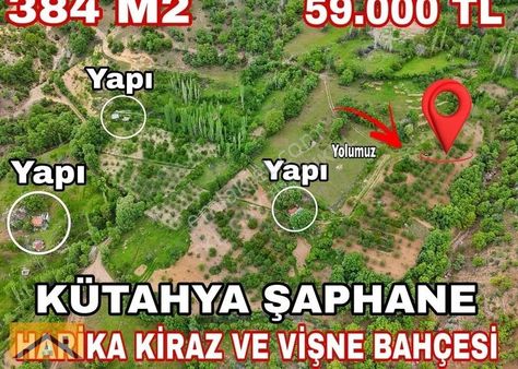 Kirazın Ana Vatanı Şaphane