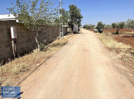 Gezici Emlak'tan 10 Numara Bağevlik Yer