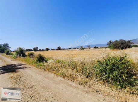 Serinhisar Yüregilde Kadasrol Yolu Kanal Suyu Olan Tarla