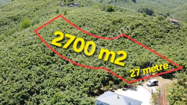 Acıl Sakarya Kocaali'de Acil Satılık 2700 M2 Fındık Bahçesi
