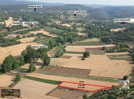 Bursa Yenişehir Günece Mahallesi Satılık Tarla