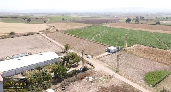 Bursa Yenişehir Barcın Mahallesi Satılık Hobi Ve Ceviz Bahçesi