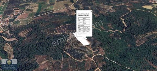 ️ Bursa İznik Çamdibinde Satılık Göl Manzaralı Bağ Ve Tarla!