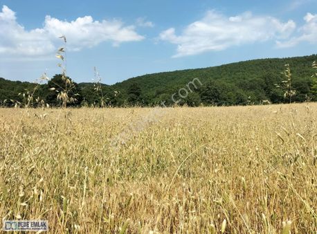 Kalburcu Köyü Yatırımlık Arsa