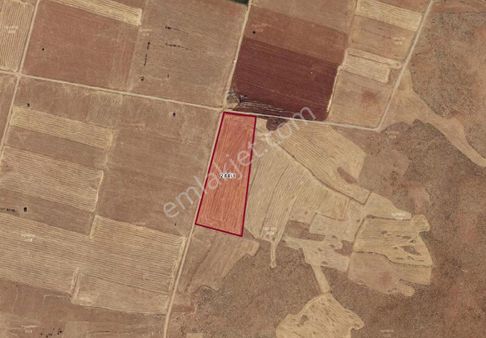 Dgn Grouptan Çumra Apasaraycıkta Tarla Yatırımlık Kaçmaz Fırsat