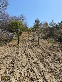 Satılık Meyve Bahçesi
