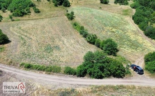 Sındırgı Pürsünler'de Kadastro Yola Cephe 2.743 M2
