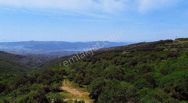 Frang Group'tan Yukarı Yapıcı Satılık Tarla