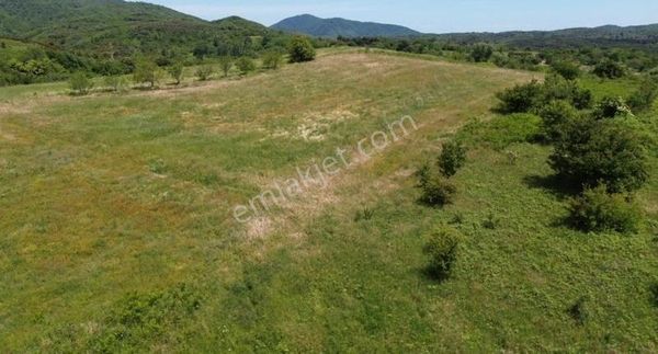 Frang Grouptan Belkıs Mahallesinde Satılık Tarla3062 M2