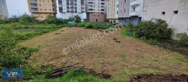 Vıp Real Estate/eynesil Gümüşçay Mah. Satılık İmarlı Arsa