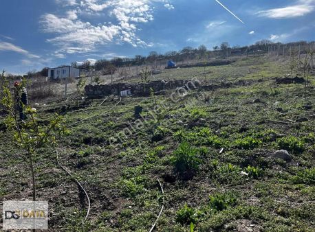 Ayaş Başberekette Satılık Hobi Bahçesi