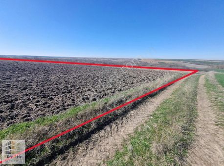 Edirne Havsa'da Müstakil Tek Tapu 4350 M2 Resmi Yolu Olan Tarla