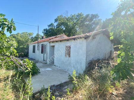 Akar Emlaktan Satılık İncir Bahçesi