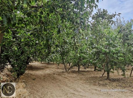 Nd Gayrimenkul'den Kestel Barakfakih Mh Satılık 2635 M2 Bahçe