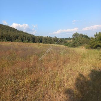 Bursa Keles Başak Köyünde Satılık Tarla
