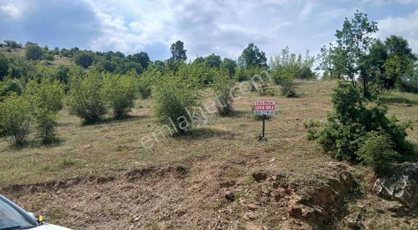 Bursa Harmancık Ta Yatırımlık Tarla