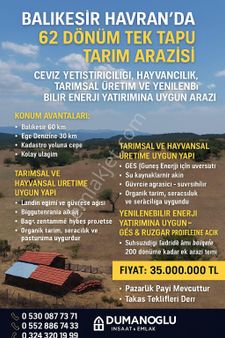 🌳 Balıkesir Havran’da 62 Dönüm Tek Tapu Tarım Arazisi! 🌳