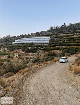 Uyar Gayrimenkulden Silifke Kargıcakta Satılık Tarla