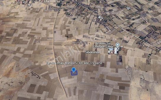 Bozova'da Acil Satılık 3100 M2 Merkeze Yakın Yola 2 Parsel Tarl