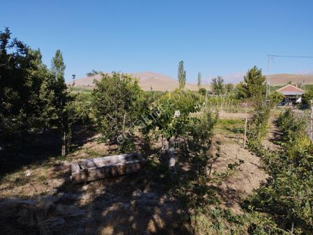 Halkapınar Yolunda 1300 M2 Kuyulu Satılık Bahçeli Müstakil