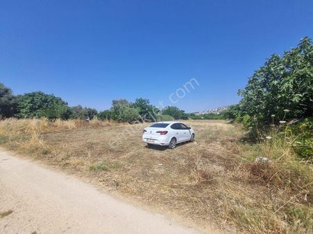 Doğayla İç İçe, Yatırıma Uygun Arsa Urla Çamlıçayda Fırsat!