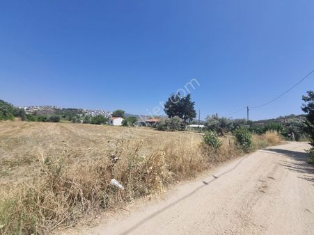 Urla İskele'de Denize Yakın Yatırımlık Arsa