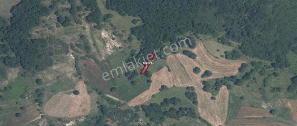 Remax Hür Ülkü Çakar'dan İzmit Bulduk Köyü'nde Satılık Yatırımlık Tarla