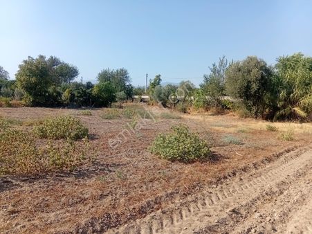 Hamzallı Köyüne Yakın Beşeylül Yolu Üzeri İdeal Bir Hobi Bahcesi...