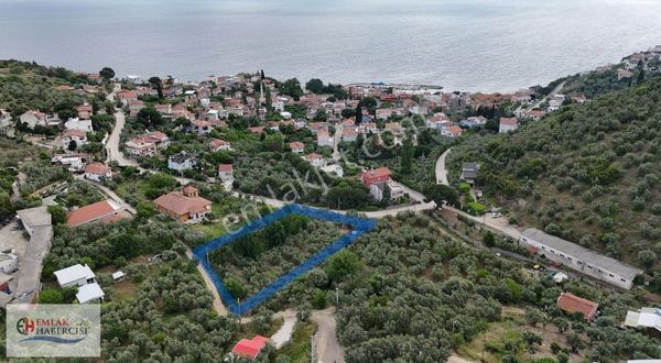 3.700 M2 Yerleşime Sınır Asfalt Cephe Deniz Ve Doğa Manz. Arazi